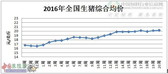 2016年全国生猪综合均价.jpg